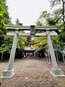天鷹神社(岐阜県)(2023年06月03日(土) 19時16分18秒投稿)