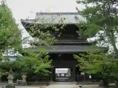 大樹寺（松安院大樹寺）(愛知県)