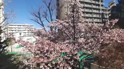 鶴見神社(神奈川県)