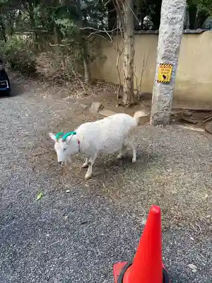 水稲荷神社(東京都)