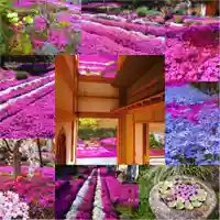 寿量山 速成寺(奈良県)