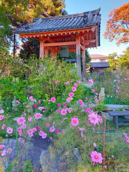 般若寺 ❁コスモス寺❁(奈良県)