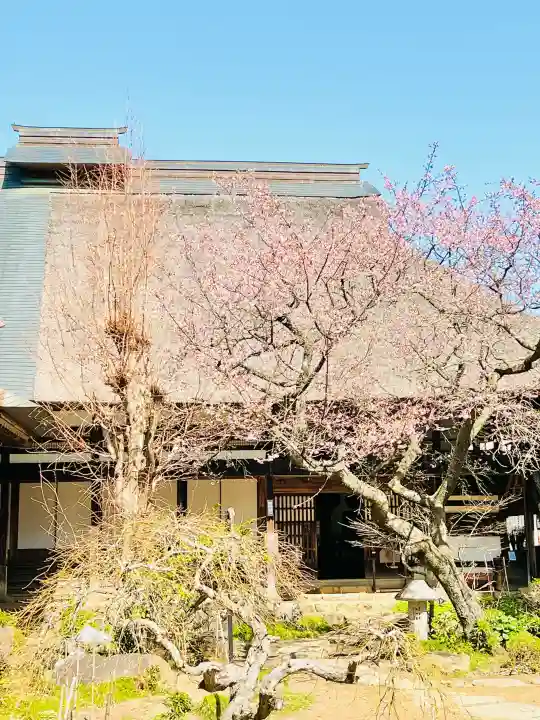 大雄寺の{uncategorized: "未分類", other: "その他", undefined: "問題あり", building: "その他建物", grave: "お墓", sacred_gate: "鳥居", guardian: "狛犬", statue: "像", buddha: "仏像", history: "歴史", nature: "自然", garden: "庭園", animal: "動物", pagoda: "塔", temizu: "手水舎", mountain_gate: "山門・神門", sanctuary: "本殿・本堂", subordinate: "末社・摂社", art: "芸術", scenery: "景色", jizo: "地蔵", ema: "絵馬", goshuin: "御朱印", omikuji: "おみくじ", items: "授与品その他", amulet: "お守り", goshuincho: "御朱印帳", eats: "食事", festival: "お祭り", votive_dance: "神楽", shichigosan: "七五三参", wedding: "結婚式", experience: "体験その他", initially: "初詣", around: "周辺", anti_infection: "感染症対策"}