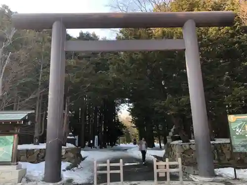 北海道神宮の鳥居