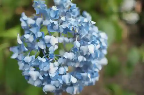 八宮神社(埼玉県)