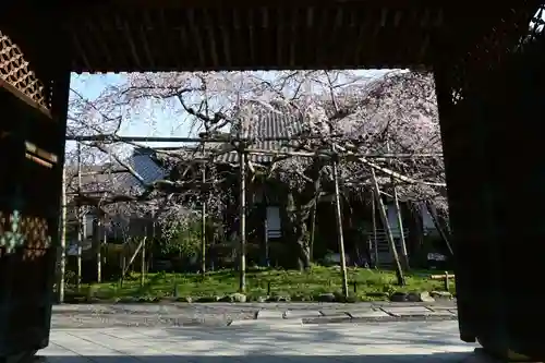 毘沙門堂門跡(京都府)