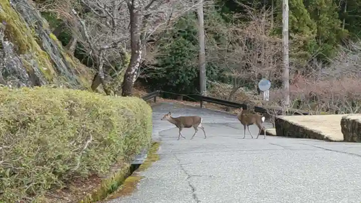 青岸渡寺(和歌山県)