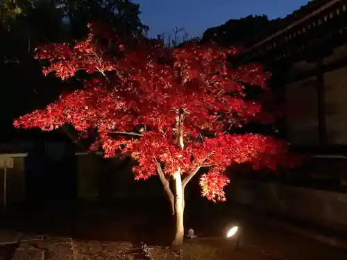 東漸寺(千葉県)