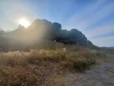赤城神社 (勧農城跡)の景色