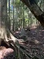 琴平神社(千葉県)