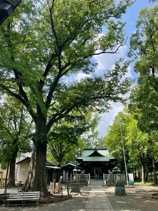 小杉神社(神奈川県)
