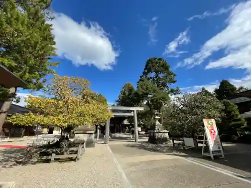 射水神社の七五三参