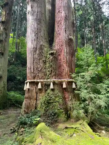 御岩神社(茨城県)