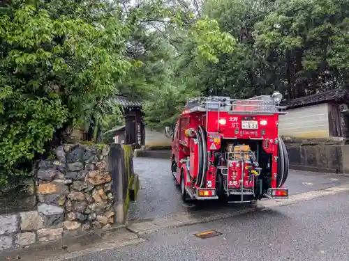 仁和寺(京都府)
