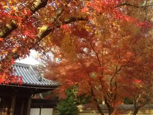 観泉寺の山門