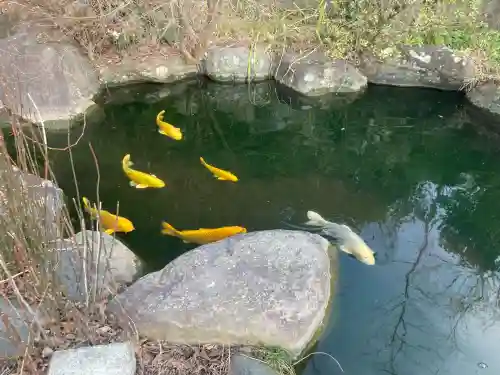 時宗総本山 遊行寺（正式：清浄光寺）の{uncategorized: "未分類", other: "その他", undefined: "問題あり", building: "その他建物", grave: "お墓", sacred_gate: "鳥居", guardian: "狛犬", statue: "像", buddha: "仏像", history: "歴史", nature: "自然", garden: "庭園", animal: "動物", pagoda: "塔", temizu: "手水舎", mountain_gate: "山門・神門", sanctuary: "本殿・本堂", subordinate: "末社・摂社", art: "芸術", scenery: "景色", jizo: "地蔵", ema: "絵馬", goshuin: "御朱印", omikuji: "おみくじ", items: "授与品その他", amulet: "お守り", goshuincho: "御朱印帳", eats: "食事", festival: "お祭り", votive_dance: "神楽", shichigosan: "七五三参", wedding: "結婚式", experience: "体験その他", initially: "初詣", around: "周辺", anti_infection: "感染症対策"}
