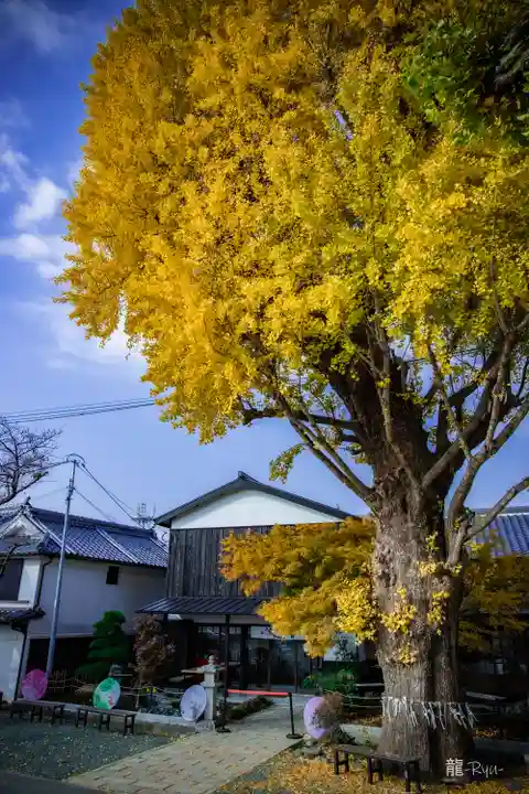 福島八幡宮(福岡県)