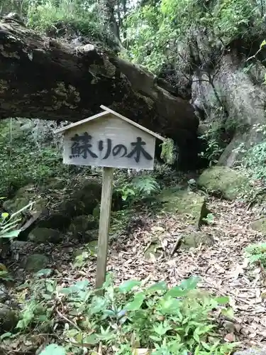 神内神社の自然