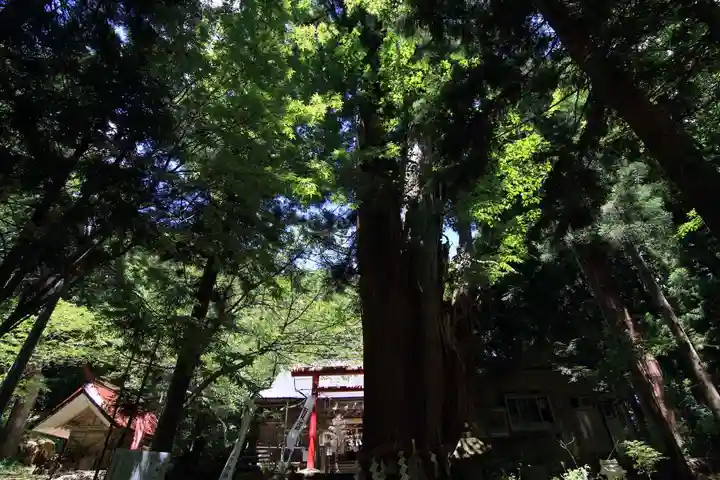 磐椅神社の景色