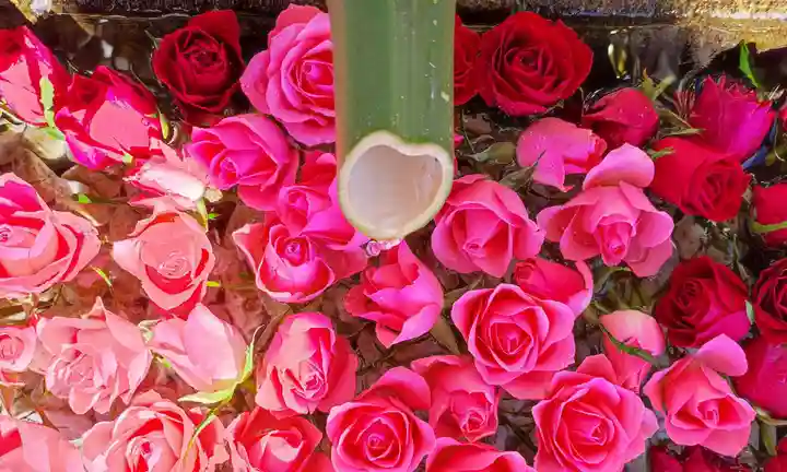 差出磯大嶽山神社 仕事と健康と厄よけの神さまの手水舎