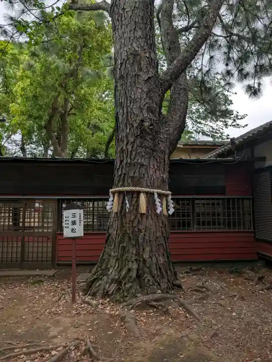 前原御嶽神社の{uncategorized: "未分類", other: "その他", undefined: "問題あり", building: "その他建物", grave: "お墓", sacred_gate: "鳥居", guardian: "狛犬", statue: "像", buddha: "仏像", history: "歴史", nature: "自然", garden: "庭園", animal: "動物", pagoda: "塔", temizu: "手水舎", mountain_gate: "山門・神門", sanctuary: "本殿・本堂", subordinate: "末社・摂社", art: "芸術", scenery: "景色", jizo: "地蔵", ema: "絵馬", goshuin: "御朱印", omikuji: "おみくじ", items: "授与品その他", amulet: "お守り", goshuincho: "御朱印帳", eats: "食事", festival: "お祭り", votive_dance: "神楽", shichigosan: "七五三参", wedding: "結婚式", experience: "体験その他", initially: "初詣", around: "周辺", anti_infection: "感染症対策"}