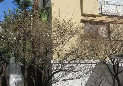 妙経寺(東京都)