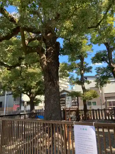 鶴見神社の自然