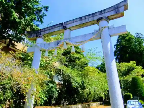 松山神社の鳥居