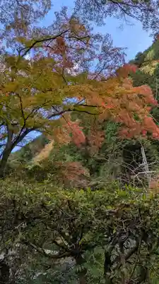 善峯寺(京都府)