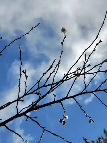 開成山大神宮(福島県)