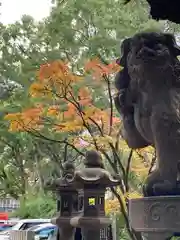 開口神社(大阪府)