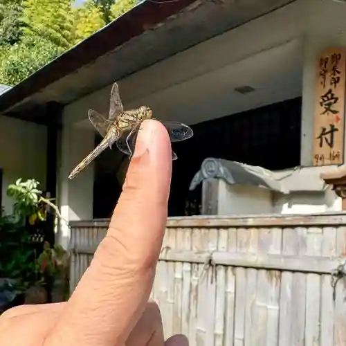 伊勢の国 四天王寺(三重県)