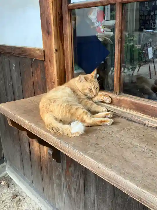 大江神社の動物