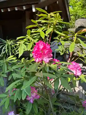 行田八幡神社(埼玉県)