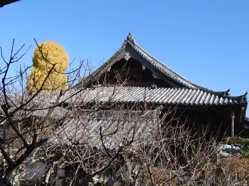 穴太寺(京都府)