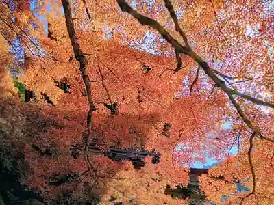 金剛院(京都府)