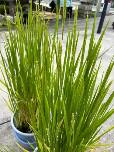 大鏑神社(福島県)