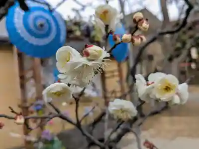 法輪寺(東京都)