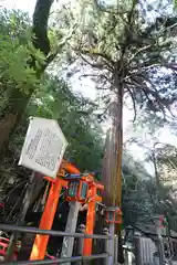 霊山寺の自然