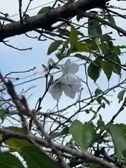 加佐美神社(岐阜県)