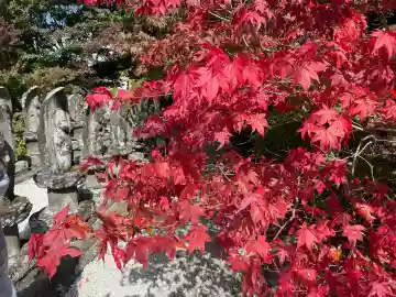 長圓寺の{uncategorized: "未分類", other: "その他", undefined: "問題あり", building: "その他建物", grave: "お墓", sacred_gate: "鳥居", guardian: "狛犬", statue: "像", buddha: "仏像", history: "歴史", nature: "自然", garden: "庭園", animal: "動物", pagoda: "塔", temizu: "手水舎", mountain_gate: "山門・神門", sanctuary: "本殿・本堂", subordinate: "末社・摂社", art: "芸術", scenery: "景色", jizo: "地蔵", ema: "絵馬", goshuin: "御朱印", omikuji: "おみくじ", items: "授与品その他", amulet: "お守り", goshuincho: "御朱印帳", eats: "食事", festival: "お祭り", votive_dance: "神楽", shichigosan: "七五三参", wedding: "結婚式", experience: "体験その他", initially: "初詣", around: "周辺", anti_infection: "感染症対策"}
