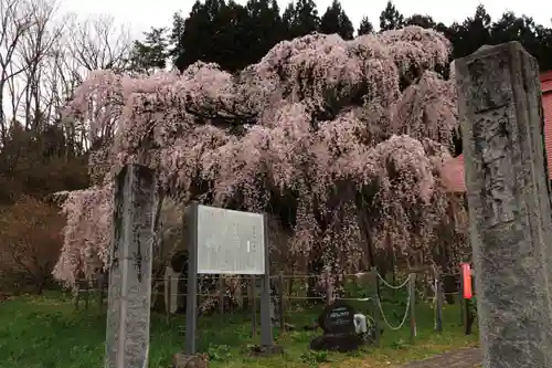 永泉寺の庭園