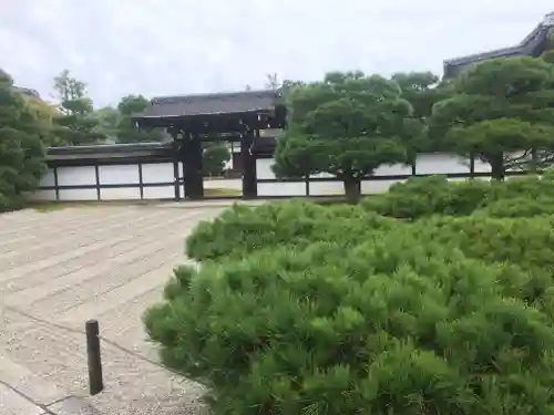 仁和寺の庭園