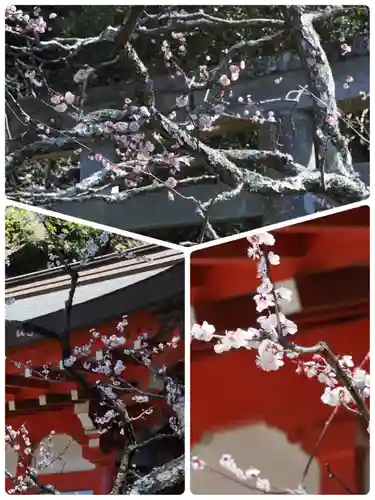 荏柄天神社(神奈川県)