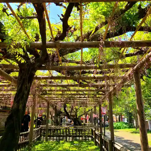 行興寺(静岡県)