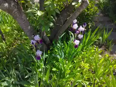 向福寺(神奈川県)