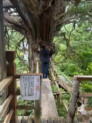 長谷寺(新潟県)