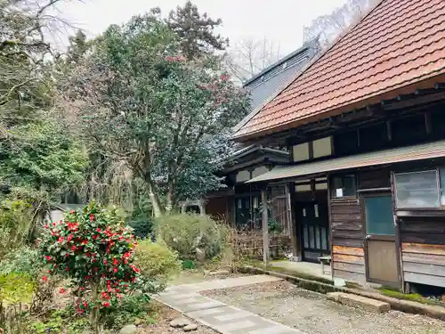 大泉寺(新潟県)