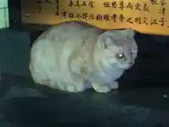 王子神社の動物