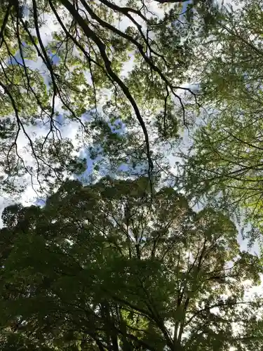 弘法寺(千葉県)